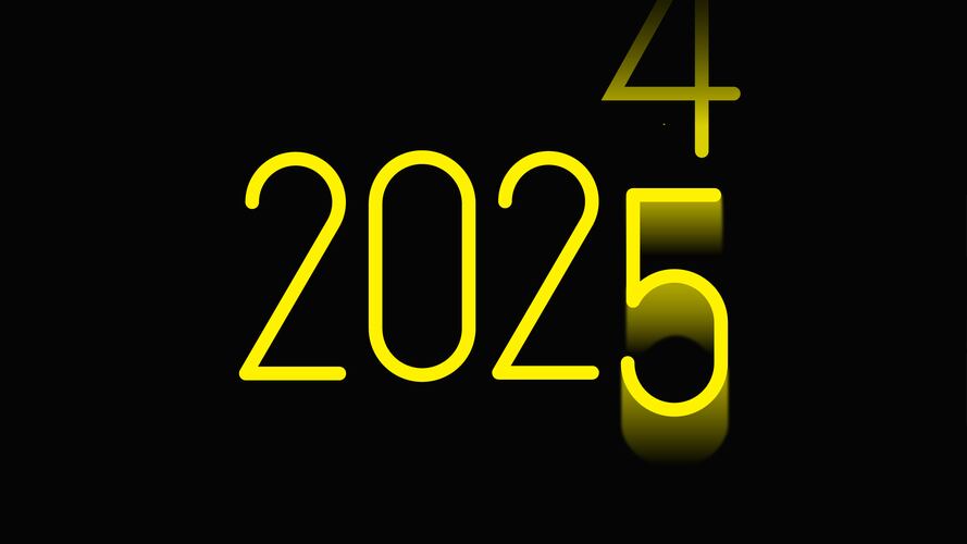 2024 in Review and 2025 Market Outlook