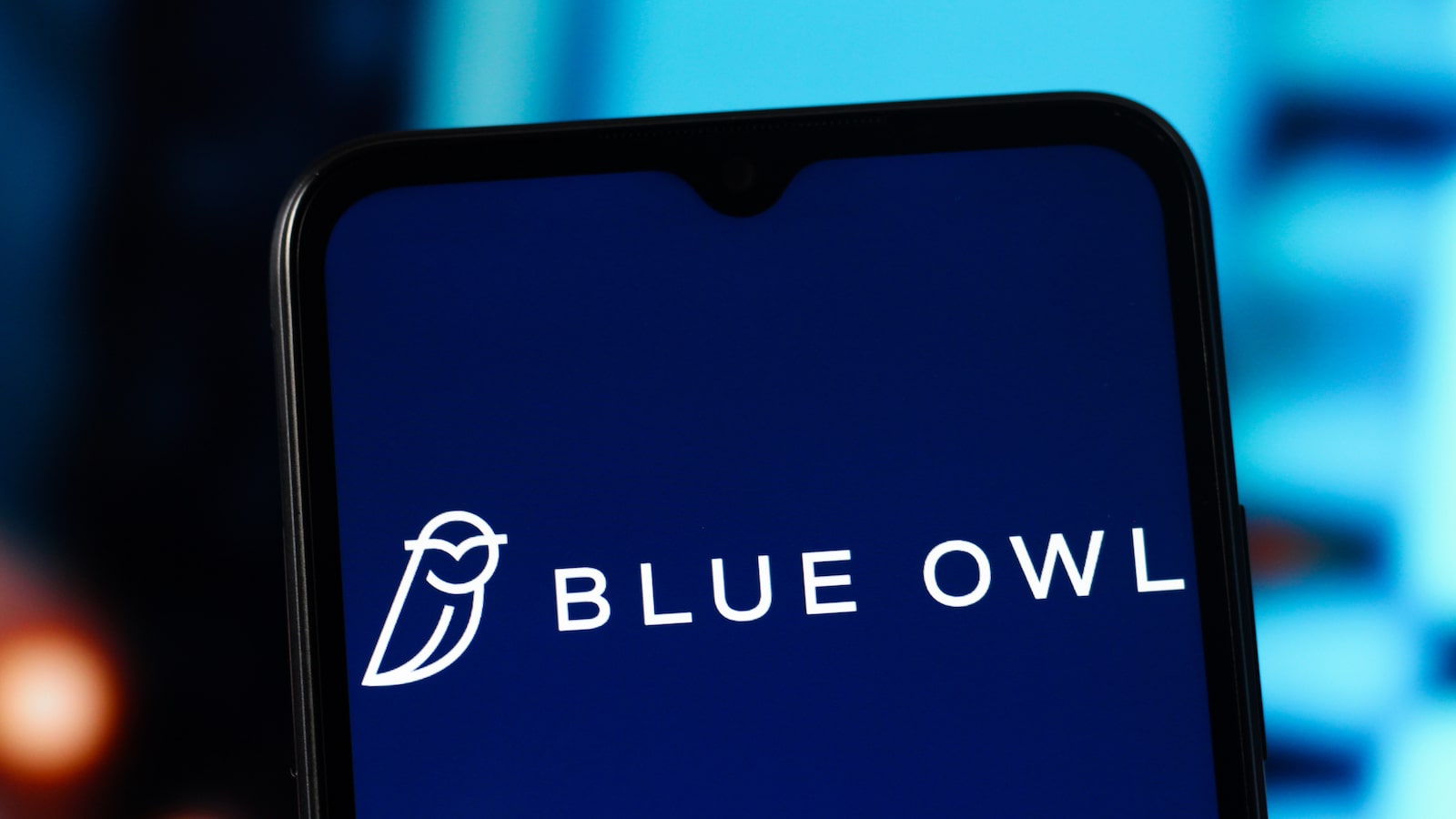 What Is Blue Owl? | Morningstar