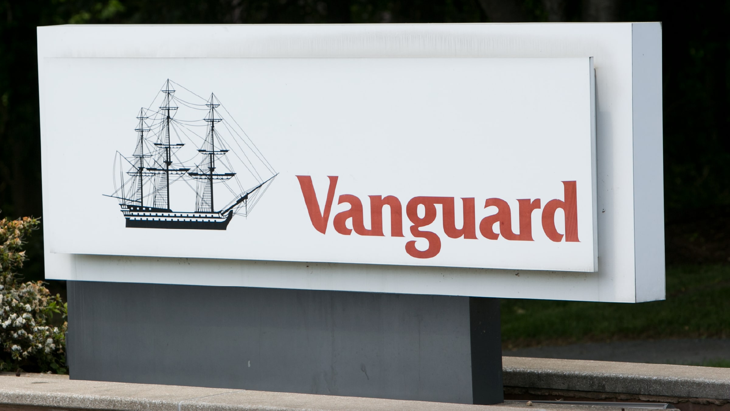 How Vanguard’s Charitable Endowment Program Stacks Up | Morningstar